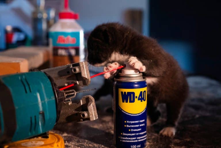 Cute ferret tinkering with WD-40 spray can in a workshop scene.